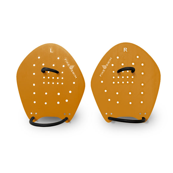 Gold Blue Paddles Medium